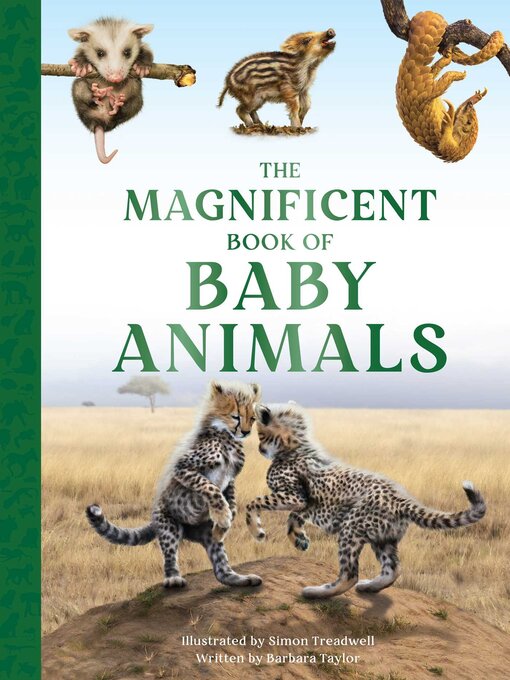 Cover image for The Magnificent Book of Baby Animals